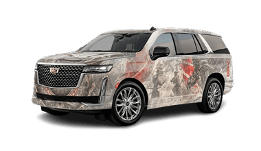 CADILLAC ESCALADE Photo